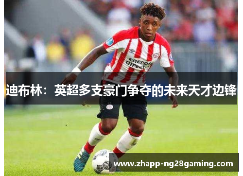 迪布林:英超多支豪门争夺的未来天才边锋 迪布林:英超多支豪门争夺的未来天才边锋