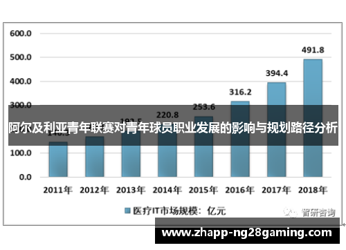 阿尔及利亚青年联赛对青年球员职业发展的影响与规划路径分析