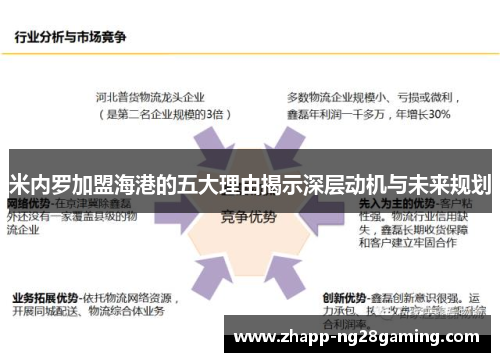 米内罗加盟海港的五大理由揭示深层动机与未来规划