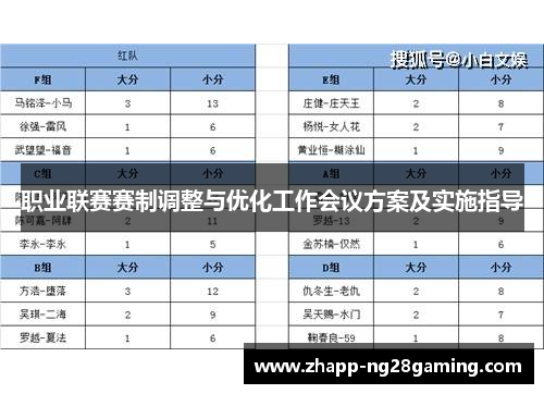 职业联赛赛制调整与优化工作会议方案及实施指导