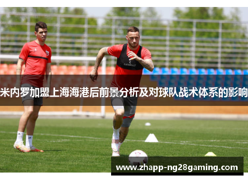 米内罗加盟上海海港后前景分析及对球队战术体系的影响