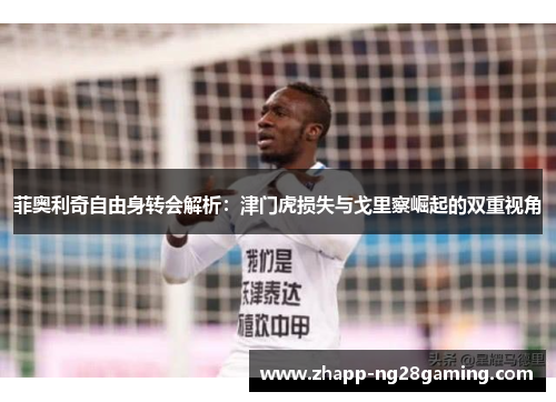 菲奥利奇自由身转会解析：津门虎损失与戈里察崛起的双重视角
