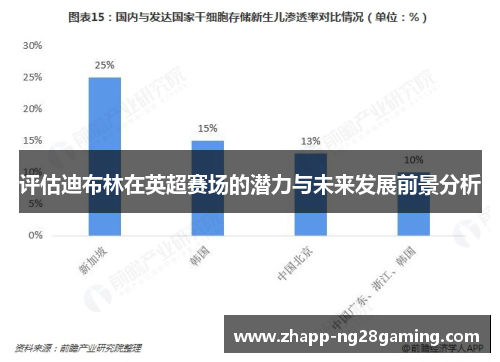 评估迪布林在英超赛场的潜力与未来发展前景分析