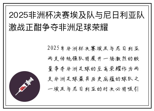 2025非洲杯决赛埃及队与尼日利亚队激战正酣争夺非洲足球荣耀