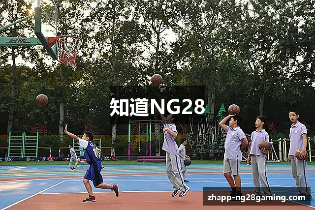 知道NG28